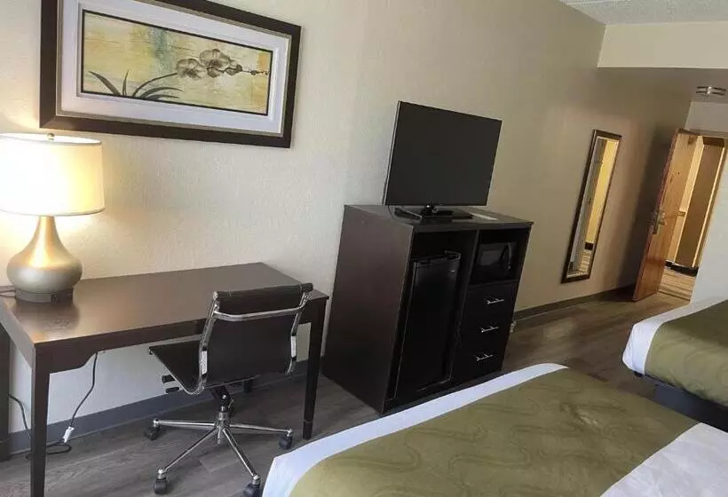 キングサイズベッドのスタンダードルーム, Quality Inn & Suites