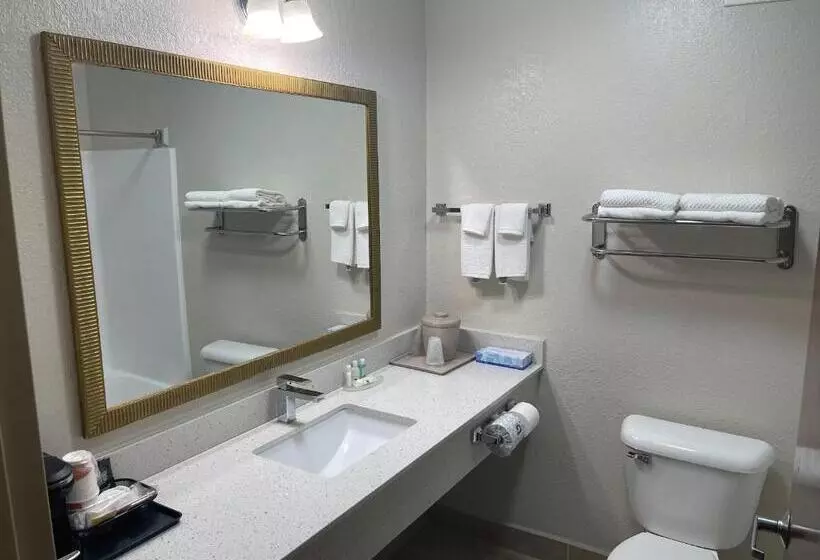キングサイズベッドのスイートルーム, Quality Inn & Suites
