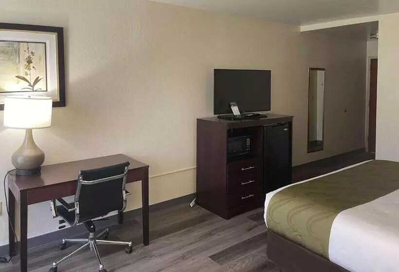キングサイズベッドのスイートルーム, Quality Inn & Suites
