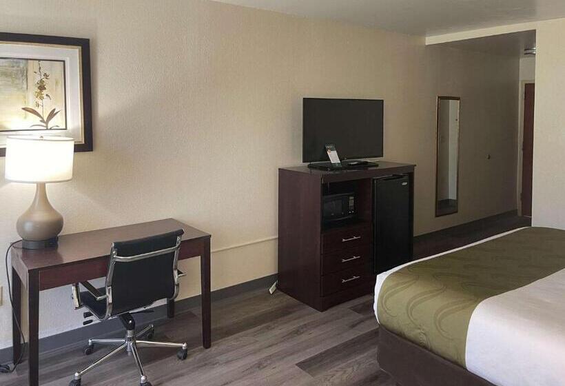 غرفة قياسية سرير كينج لذوى الإحتياجات الخاصة, Quality Inn & Suites