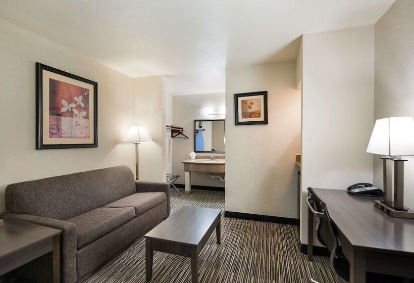 חדר סטנדרט, Quality Inn & Suites Lufkin