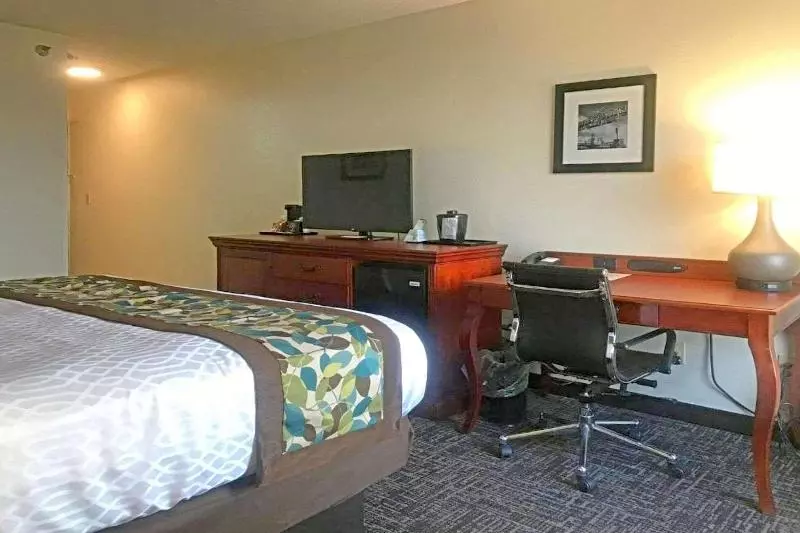 キングサイズベッドのスタンダードルーム, Rodeway Inn & Suites