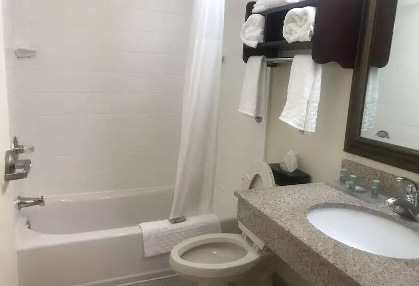 身障者適用スイートルーム, Rodeway Inn & Suites