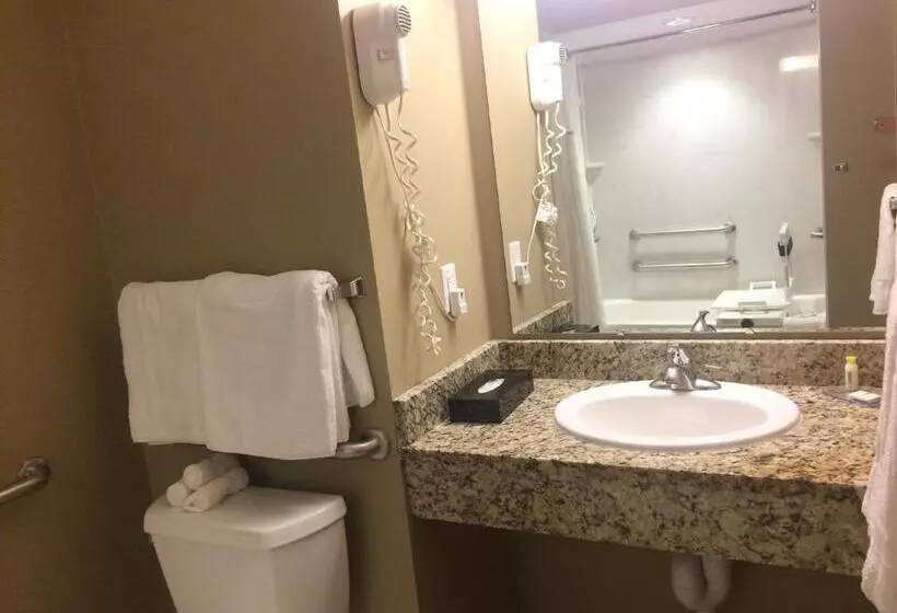 キングサイズベッドのスタンダードルーム, Surestay Plus Hotel By Best Western Jasper
