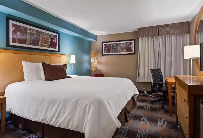 キングサイズベッドのスタンダードルーム, Surestay Plus Hotel By Best Western Jasper