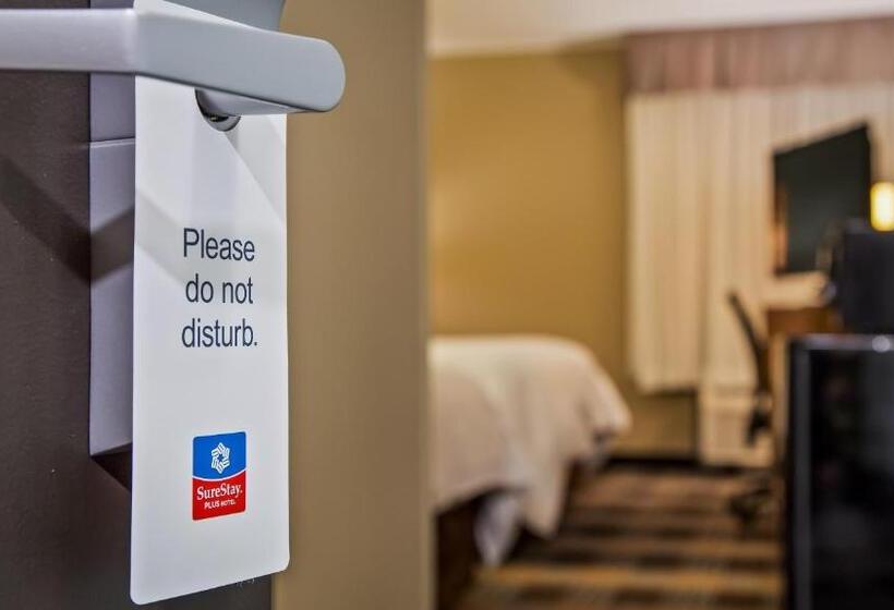 غرفة قياسية, Surestay Plus Hotel By Best Western Jasper