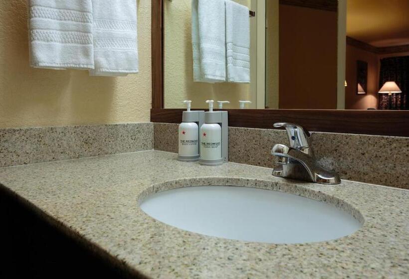 스탠다드 룸, The Redwood Riverwalk, A Boutique