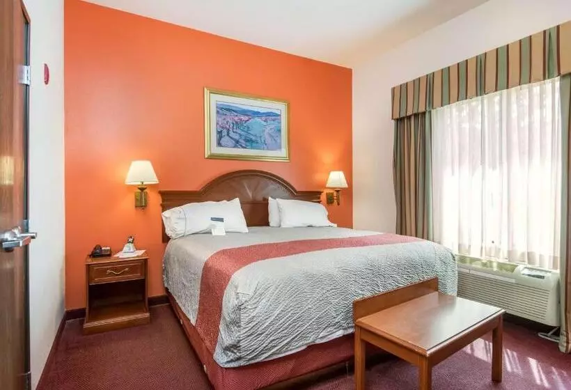 身障者適用キングサイズベッドルーム, Motel 6 Brenham, Tx