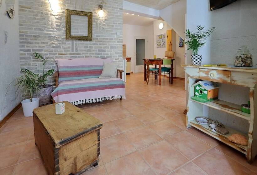 استودیوی استاندارد, Old Town Rooms   Koludraska Street