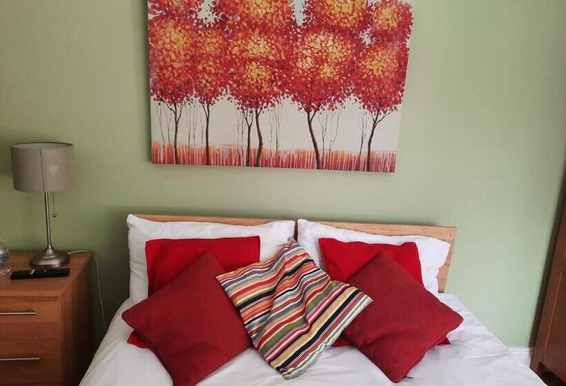 豪华单人间, Skellys