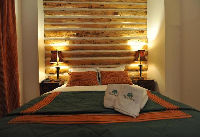 סוויטת ג'וניור, Vaela Hotel Cultural Resort