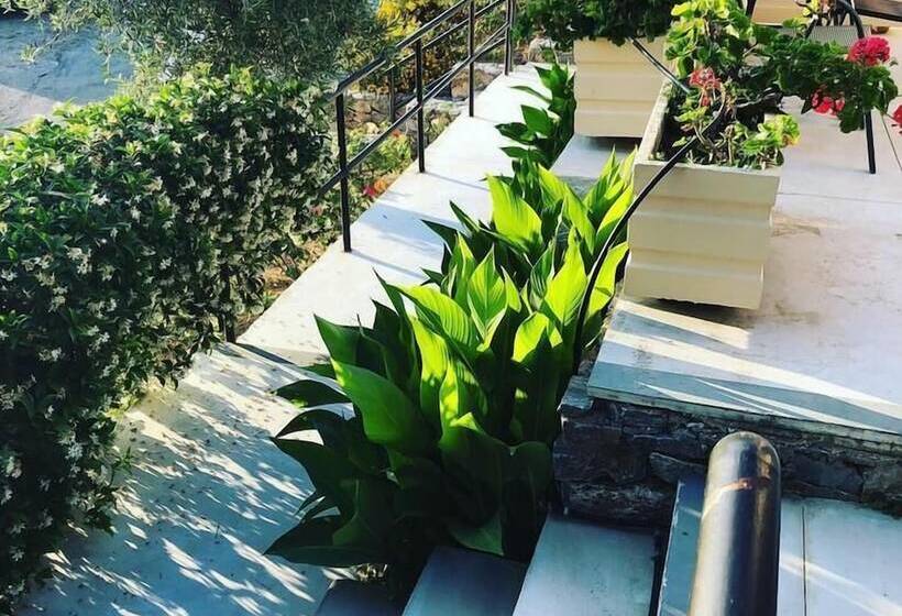 Апартаменты Комфорт 1 Спальня, Terpsichori Villa & Apartments