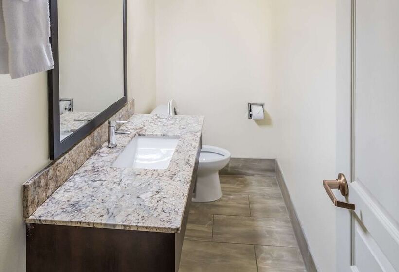 غرفة قياسية, Clarion Inn Page  Lake Powell