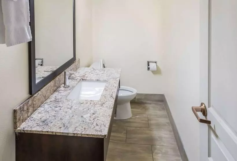 اتاق استاندارد, Clarion Inn Page  Lake Powell