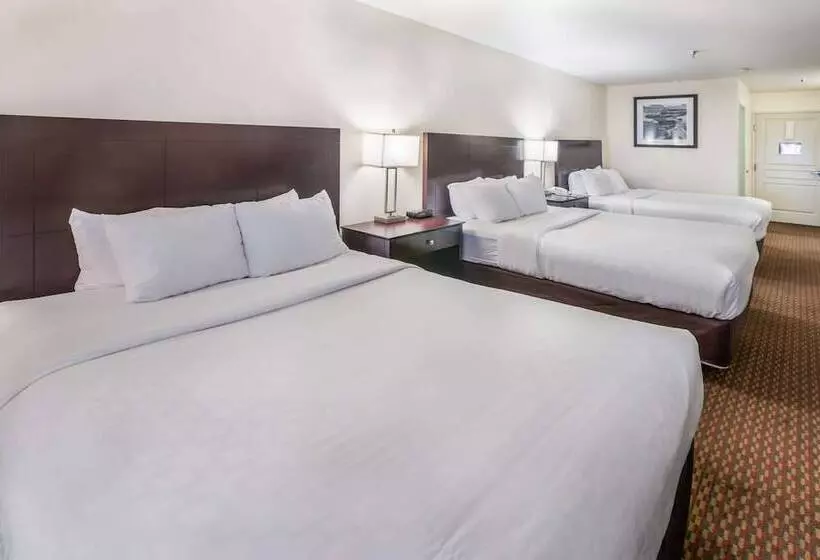 اتاق استاندارد, Clarion Inn Page  Lake Powell