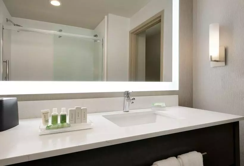 身障者適用スイートルーム, Holiday Inn Hotel & Suites Council Bluffs, An Ihg
