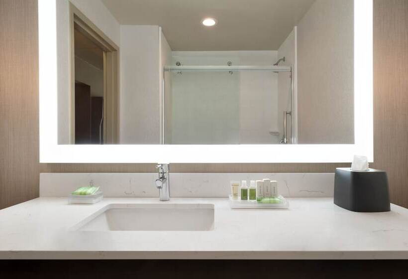 身障者適用スイートルーム, Holiday Inn Hotel & Suites Council Bluffs, An Ihg