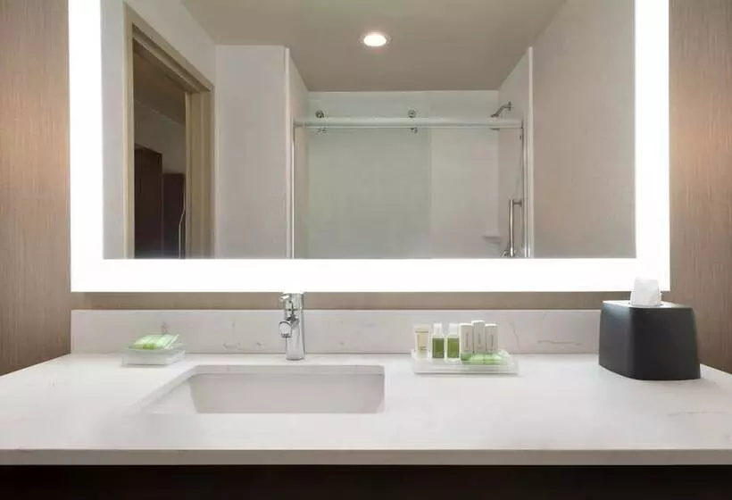身障者適用スイートルーム, Holiday Inn Hotel & Suites Council Bluffs, An Ihg