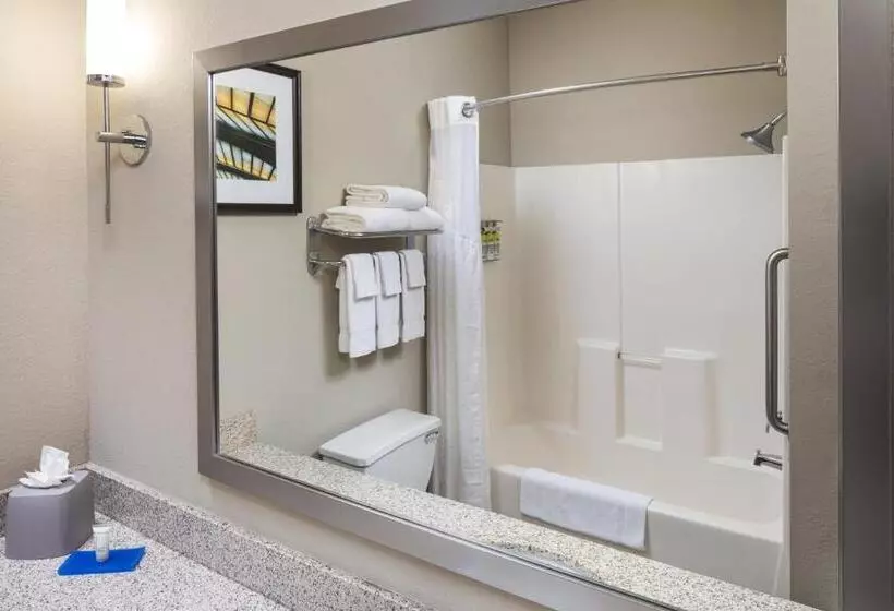 キングサイズベッドのスタンダードルーム, Holiday Inn Express Hotel & Suites Minneapolis   Minnetonka, An Ihg