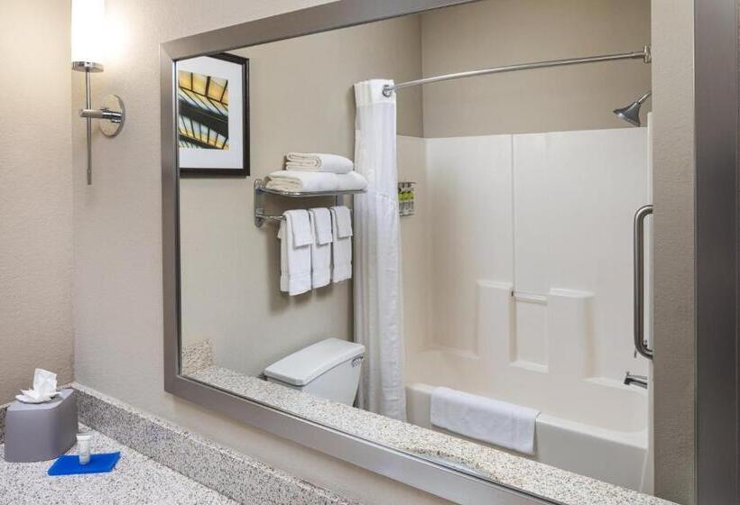 جناح سرير كينج, Holiday Inn Express Hotel & Suites Minneapolis   Minnetonka, An Ihg