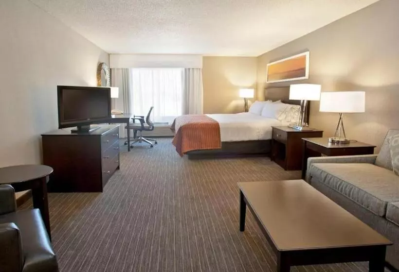 キングサイズベッドのスイートルーム, Holiday Inn Express Hotel & Suites Minneapolis   Minnetonka, An Ihg