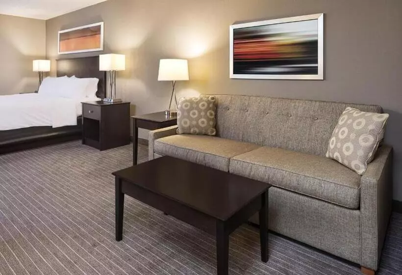 キングサイズベッドのスイートルーム, Holiday Inn Express Hotel & Suites Minneapolis   Minnetonka, An Ihg