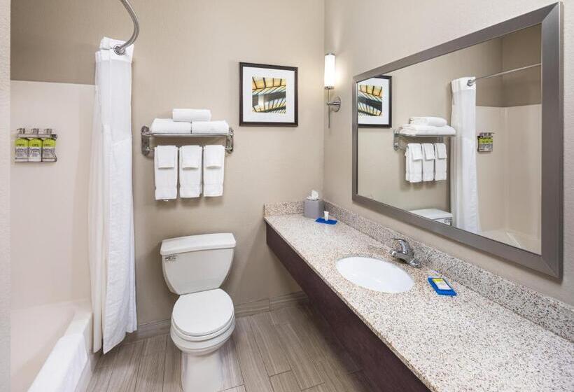 身障者適用キングサイズベッドルーム, Holiday Inn Express Hotel & Suites Minneapolis Minnetonka, An Ihg