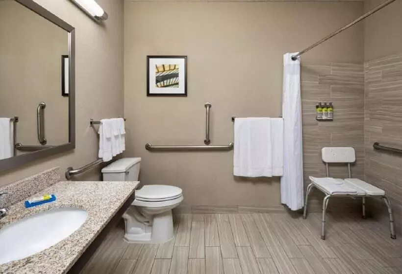 身障者適用スタンダードルーム, Holiday Inn Express Hotel & Suites Minneapolis   Minnetonka, An Ihg