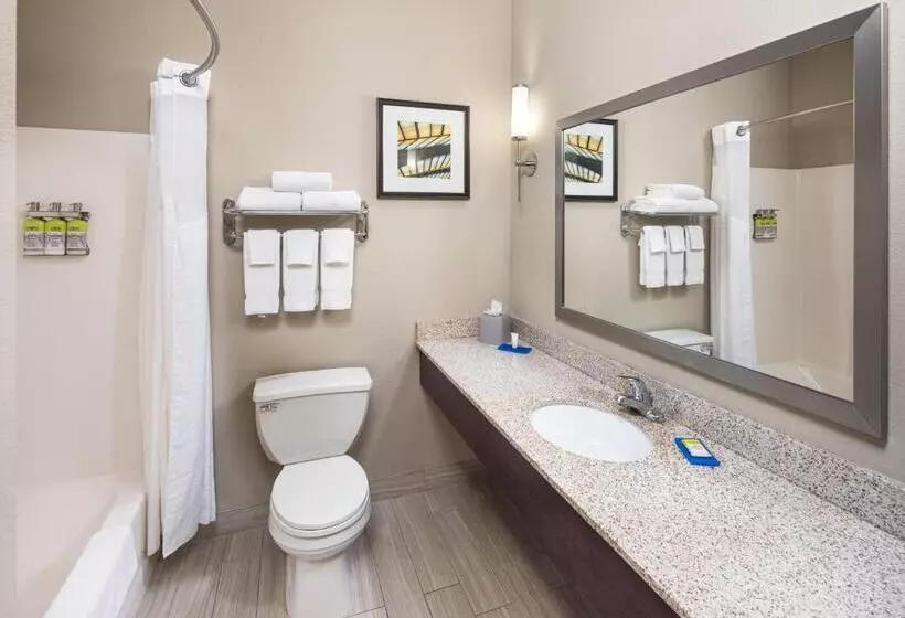身障者適用スタンダードルーム, Holiday Inn Express Hotel & Suites Minneapolis   Minnetonka, An Ihg