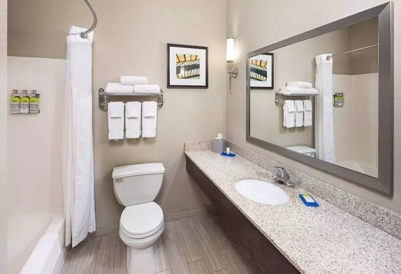 スタンダードルーム, Holiday Inn Express Hotel & Suites Minneapolis   Minnetonka, An Ihg