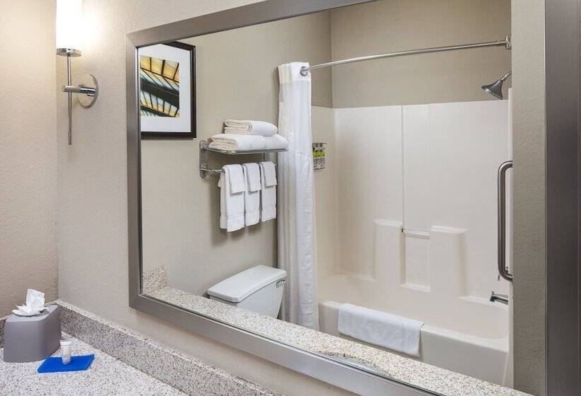 身障者適用スイートルーム, Holiday Inn Express Hotel & Suites Minneapolis Minnetonka, An Ihg