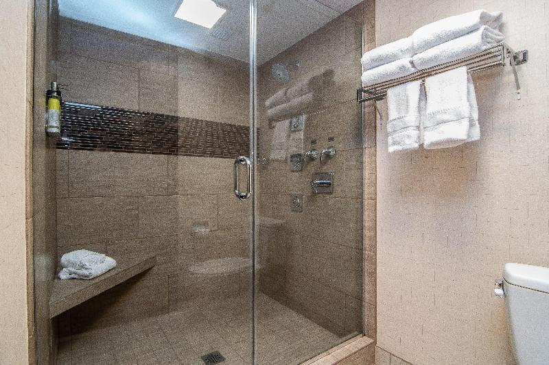 스탠다드 룸 킹사이즈 침대, Holiday Inn Express Spokane Downtown, An Ihg