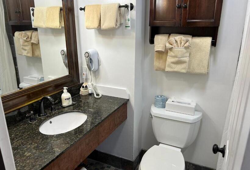 غرفه قياسيه سريرين مزدوجين, Homestead Inn   Blowing Rock