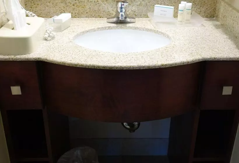 スイート, Homewood Suites By Hilton Durhamchapel Hill / I40