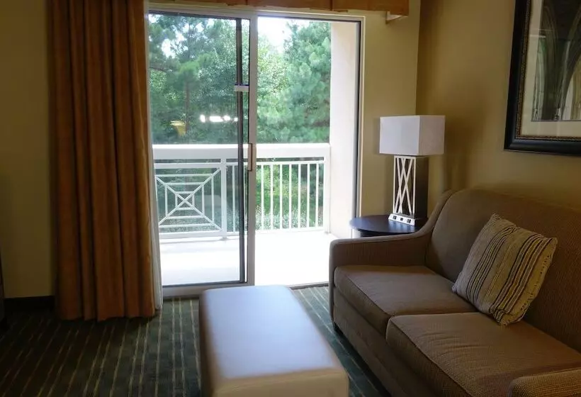 スイート, Homewood Suites By Hilton Durhamchapel Hill / I40