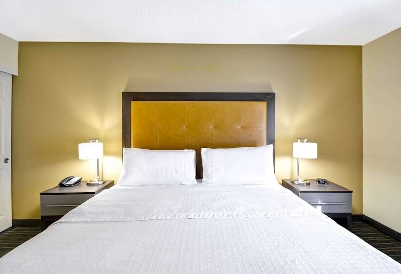 套房, Homewood Suites By Hilton Durhamchapel Hill / I40