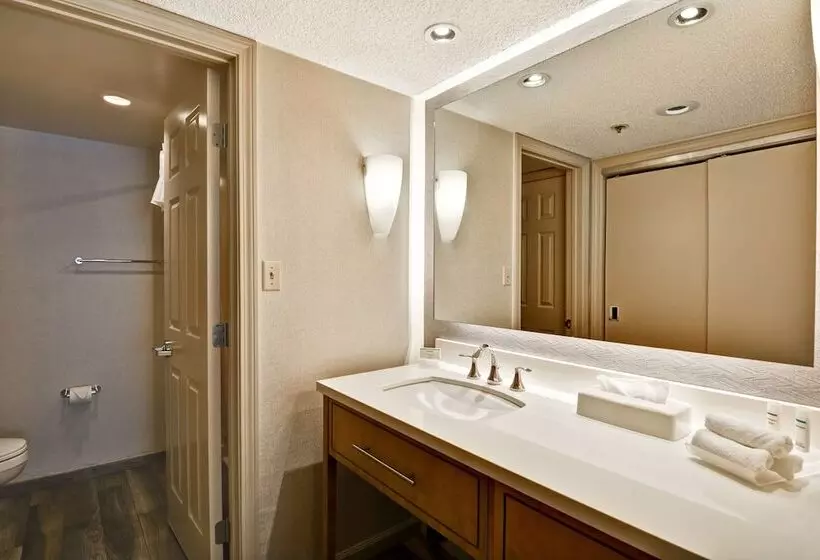 سوئیت پریمیوم, Homewood Suites By Hilton Windsor Locks Hartford