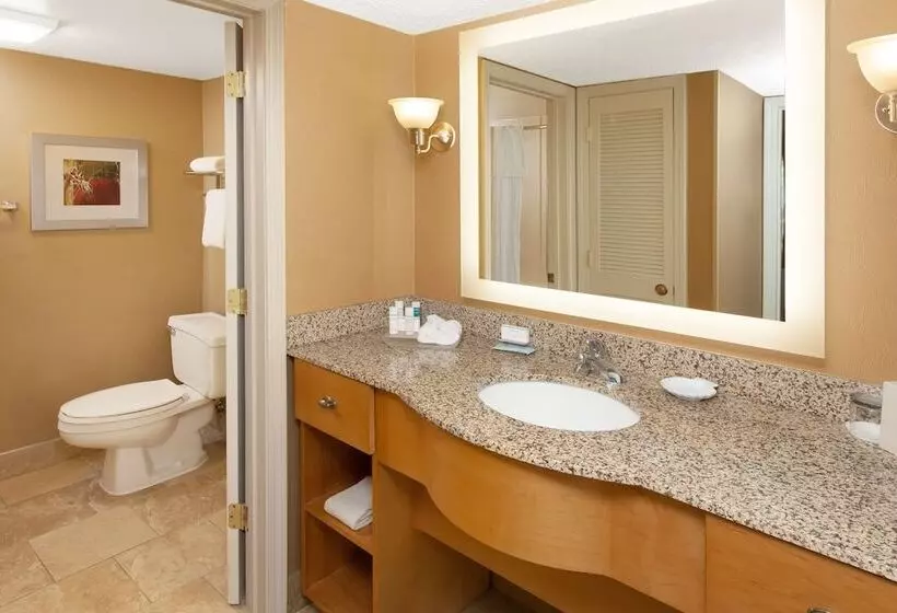 سوییت, Homewood Suites By Hilton Lafayette Rossville Exit