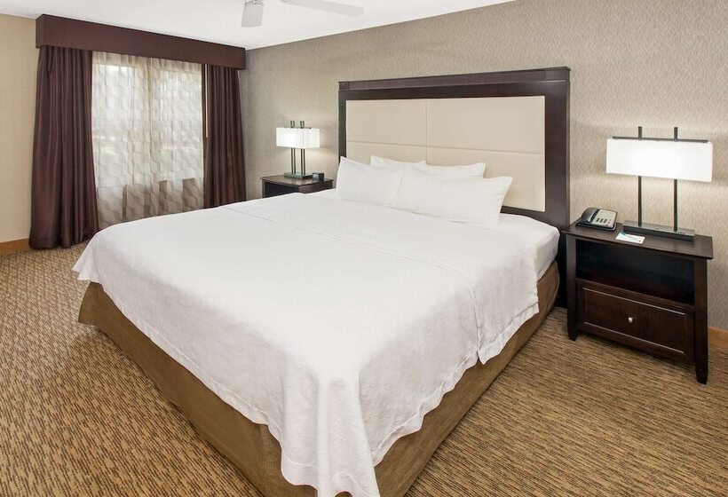 سوییت, Homewood Suites By Hilton Lafayette Rossville Exit