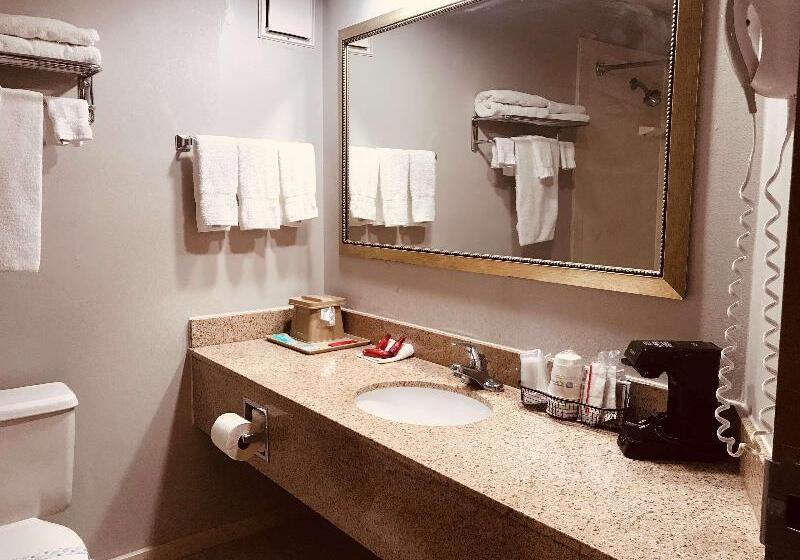 سوئیت با تخت بزرگ, Homewood Suites By Hilton Lafayette Rossville Exit