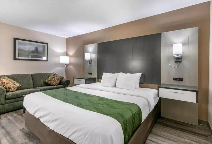 身障者適用キングサイズベッドルーム, Quality Inn