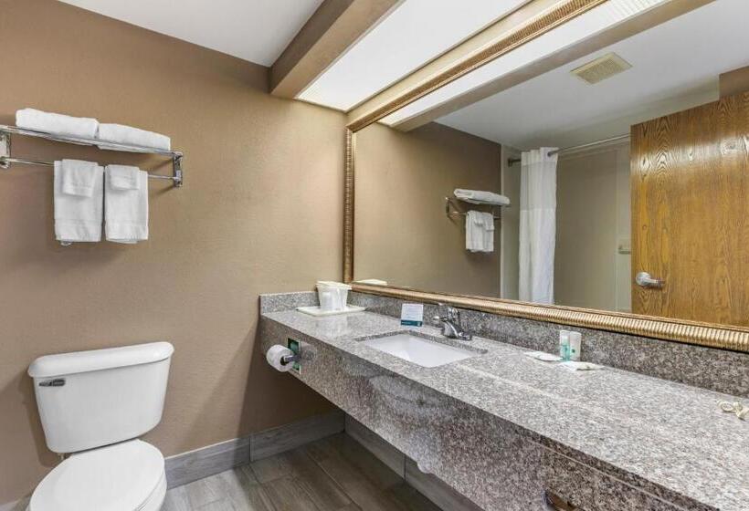 适合残疾人士使用的带超级大床的标准间, Quality Inn