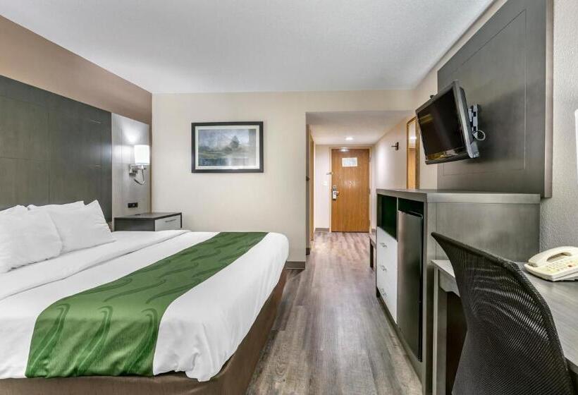 غرفة قياسية سرير كينج لذوى الإحتياجات الخاصة, Quality Inn