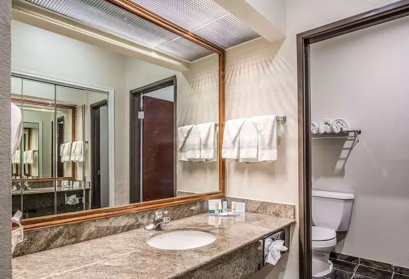 スイート, Quality Inn & Suites Seabrook  Nasa  Kemah