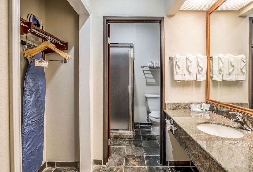 套房, Quality Inn & Suites Seabrook  Nasa  Kemah