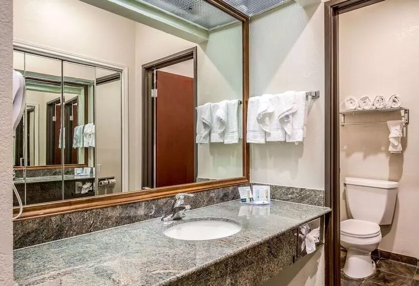 スイート, Quality Inn & Suites Seabrook  Nasa  Kemah