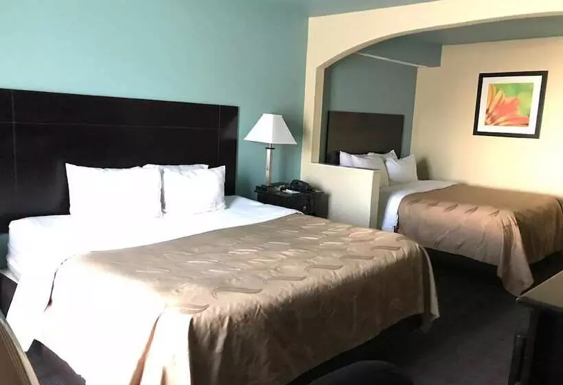 スタンダードルーム, Surestay Plus Hotel By Best Western Blue Springs