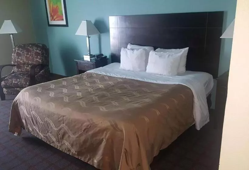 キングサイズベッドのスタンダードルーム, Surestay Plus Hotel By Best Western Blue Springs
