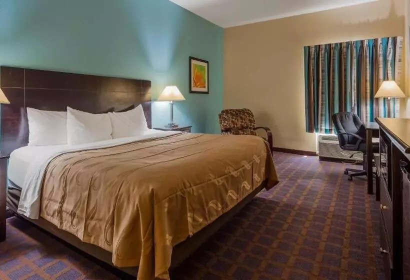キングサイズベッドのスタンダードルーム, Surestay Plus Hotel By Best Western Blue Springs