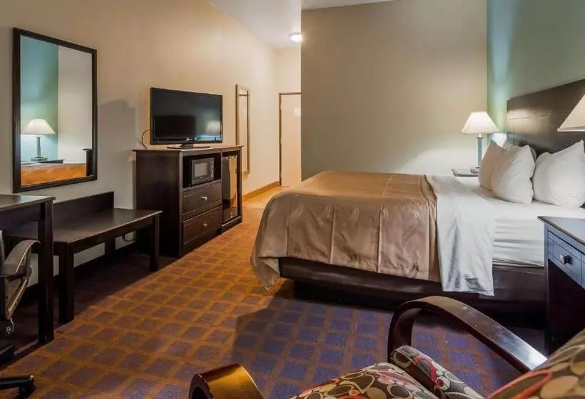 身障者適用キングサイズベッドルーム, Surestay Plus Hotel By Best Western Blue Springs